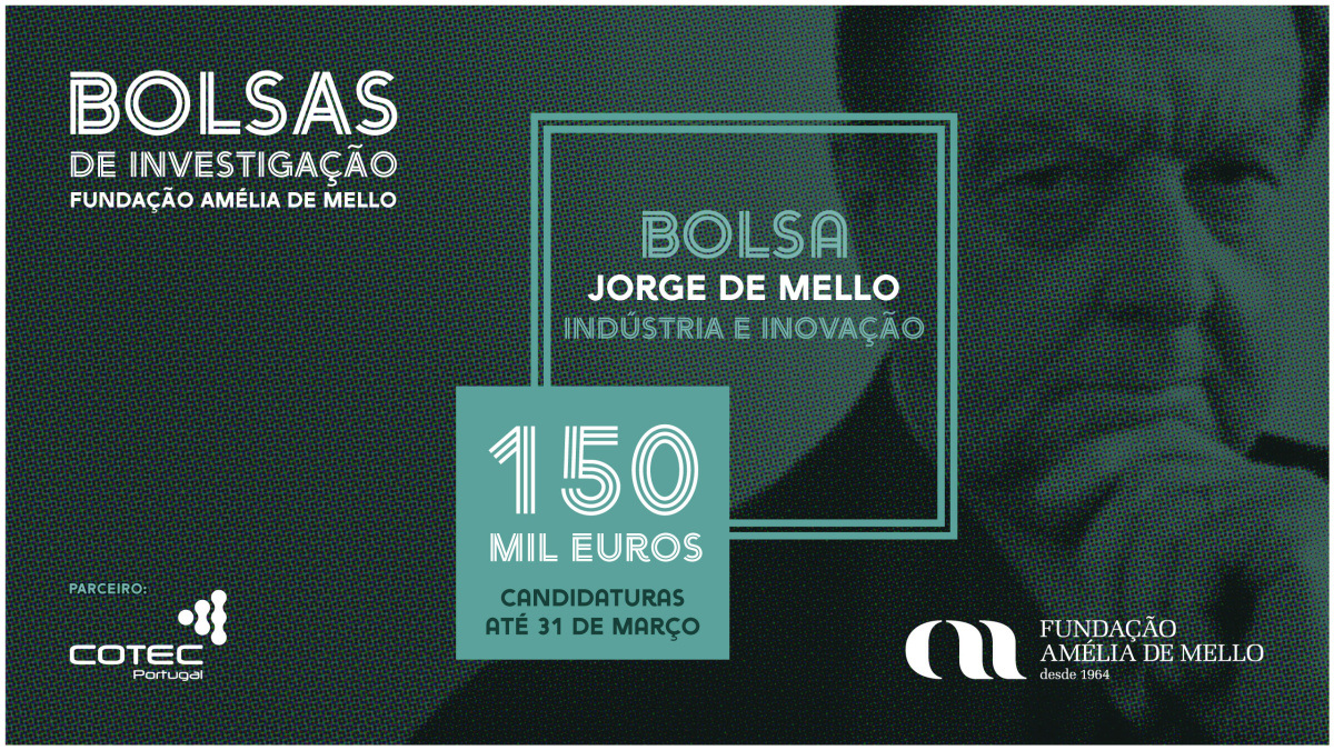 Jorge de Mello Research Grant - Industry and Innovation