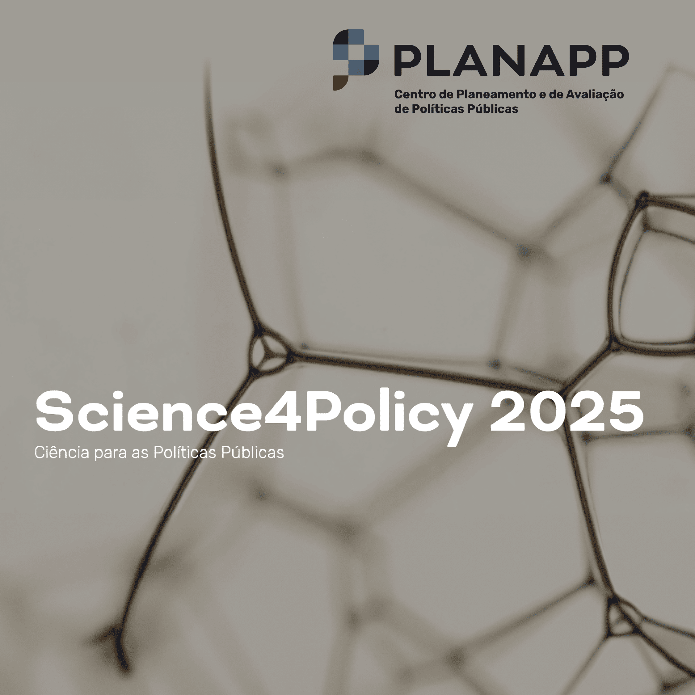 ESTG secures two Science4Policy projects: sustainable mobility and combating domestic violence
