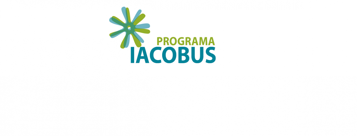 Applications for IACOBUS program scholarships